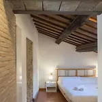 Domus Tempio Deluxe, Centro